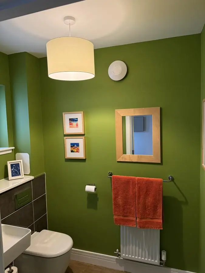 Bathroom walls painted olive green with white woodwork