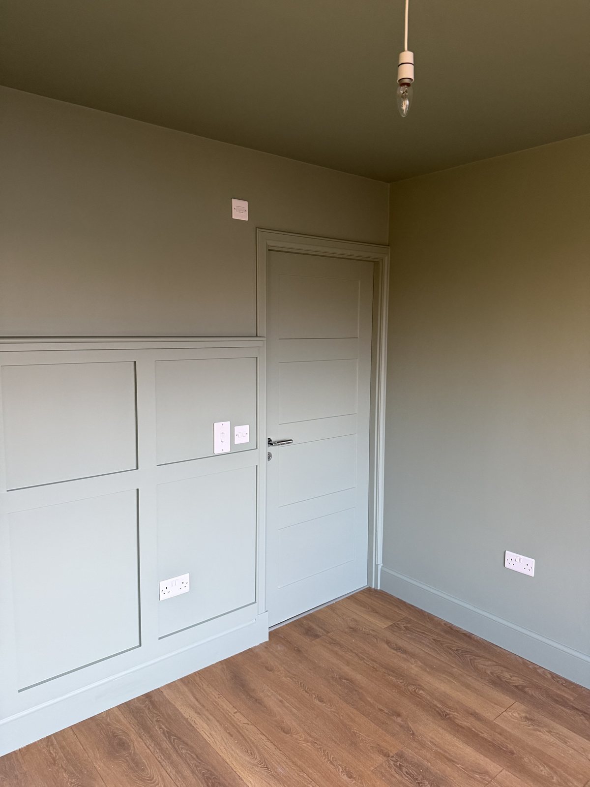 Room with sage green wall panelling, matching panelled door and a darker green ceiling